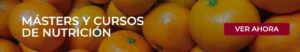 Estudiar los másters y cursos de nutrición de Esneca