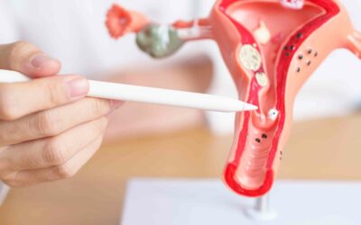 Curso Universitario de Especialización en Fertilidad y Reproducción Humana Asistida
