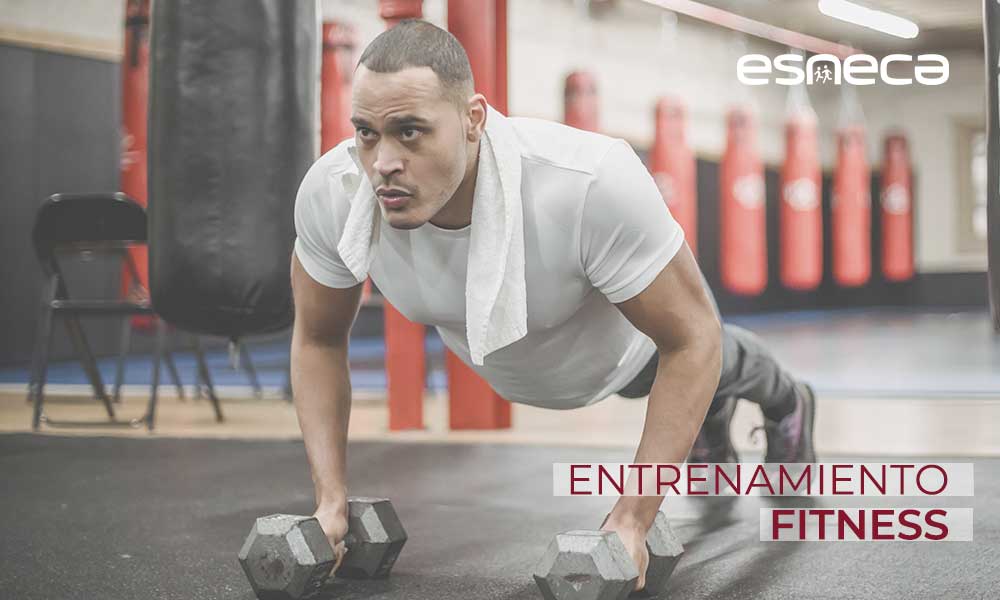 Todo lo que debes saber sobre el entrenamiento fitness