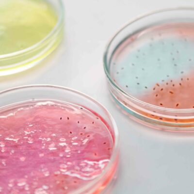 curso de especialista en terapia antimicrobiana