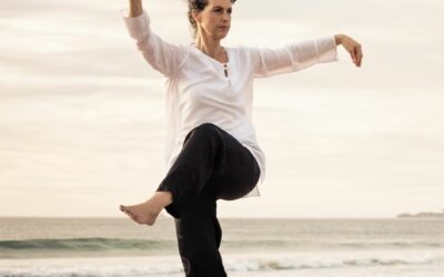 Experto en Taichí y Chikún