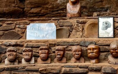 Estudia el máster en sociología y antropología social