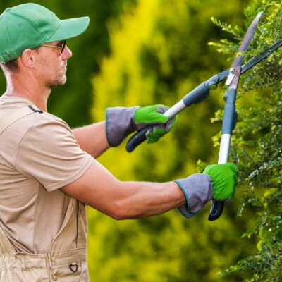 especialista en poda y en injerto de frutales