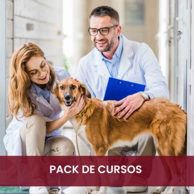 micropack de cursos de veterinaria