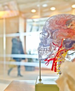 Máster en Neuropsicología Clínica, Psicoterapia y Deterioro Cognitivo
