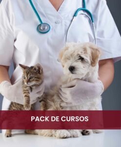 Descubre el pack de cursos de veterinaria