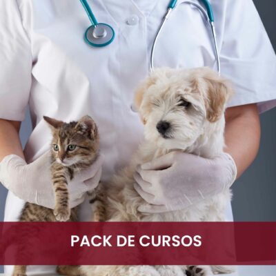 Descubre el pack de cursos de veterinaria