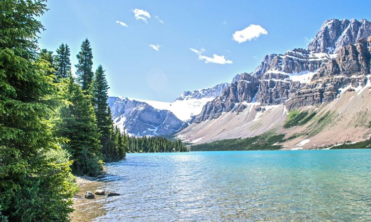 ¿Qué es gestión ambiental y en qué consiste?