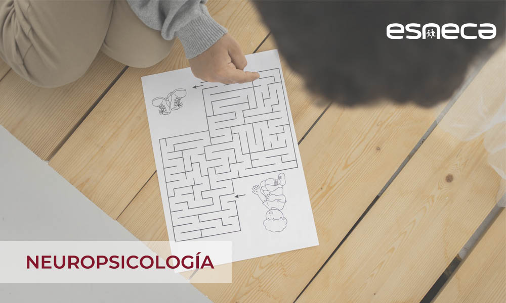 ¿Qué es un neuropsicólogo? Descúbrelo todo sobre este profesional