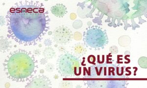 ¿qué es un virus y cómo se transmite?