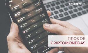 Estos son los tipos de criptomonedas que debes conocer