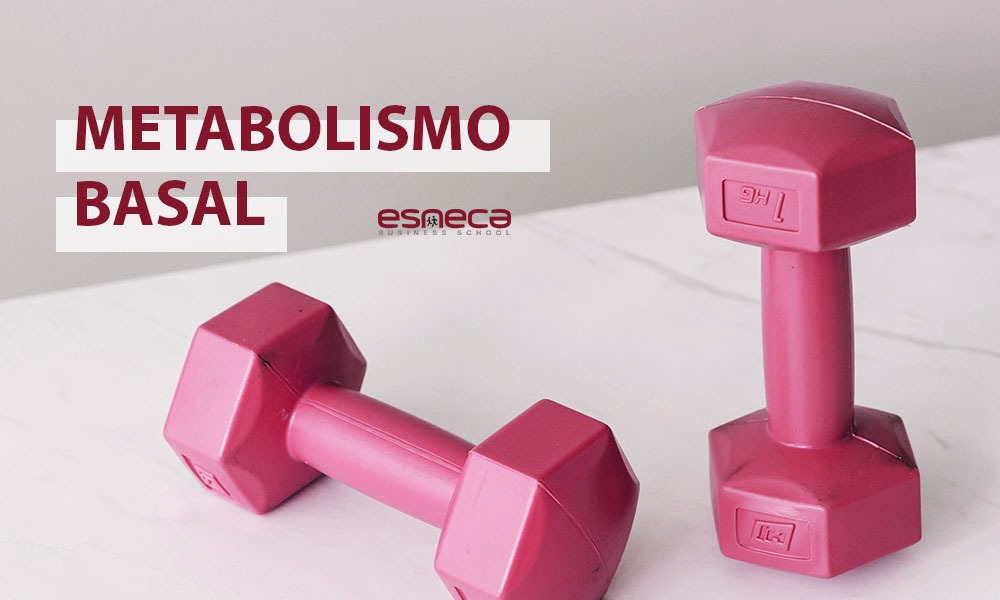 5 consejos para aumentar el metabolismo basal