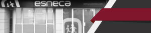 Banner superior Esneca