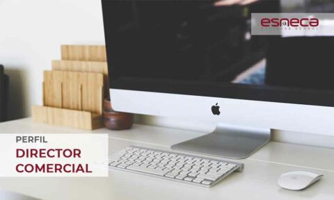 Director Comercial o CCO Funciones y Competencias del puesto