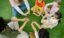 Conoce qué es lo que hace un educador infantil