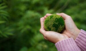 Conoce la historia de la gestión ambiental y cómo se ha construido