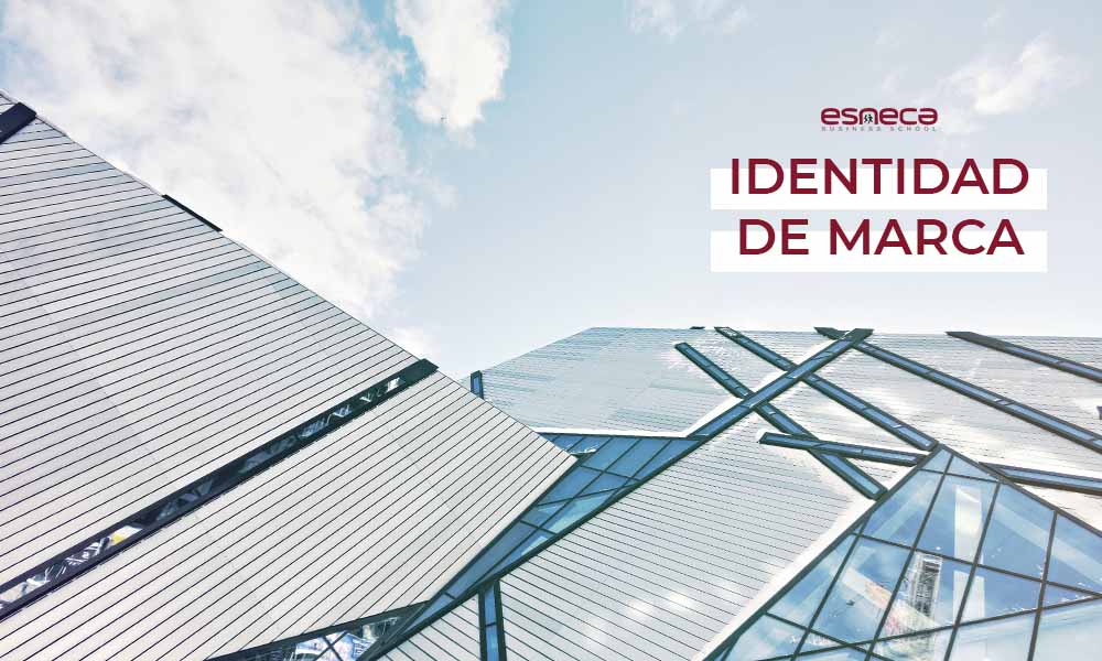 Guía completa sobre la identidad de marca