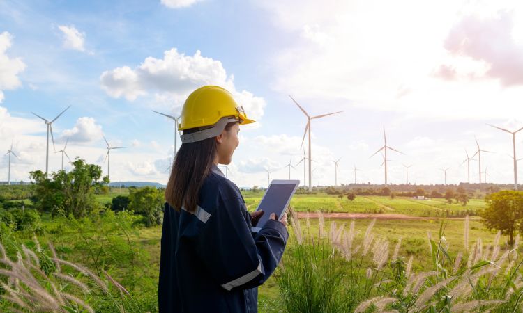 ¿Qué es y qué hace la ingeniería ambiental?