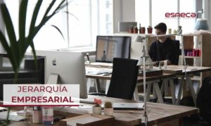 existen varios tipos de jerarquía empresarial