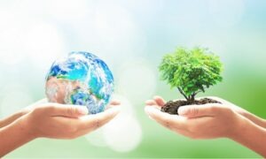 Conoce qué es la Ley de Restauración de la Naturaleza 2024 y qué regula