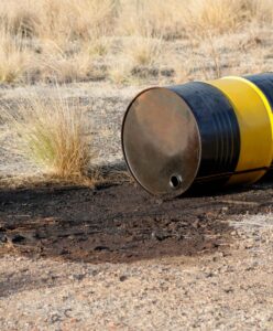 Estudiar Máster en Contaminación del Suelo + Perito Judicial en Contaminación del Suelo