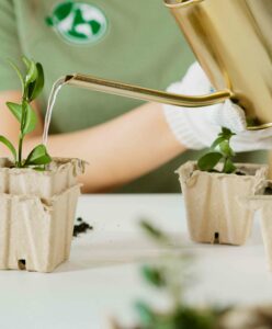 Estudiar máster en gestión ambiental