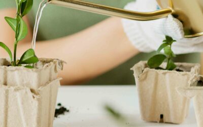 Estudiar máster en gestión ambiental