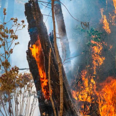 Estudiar el Máster en Incendios Forestales