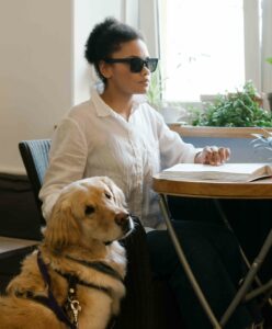 Estudiar Curso Terapia Asistida con Perros