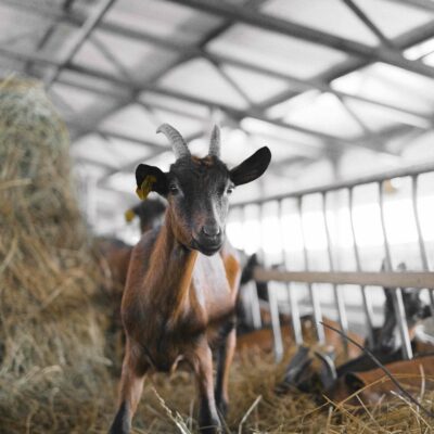 Máster en Agricultura Ecológica