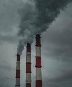 Formación Máster en Estructura y Dinámica de Medio Ambiente