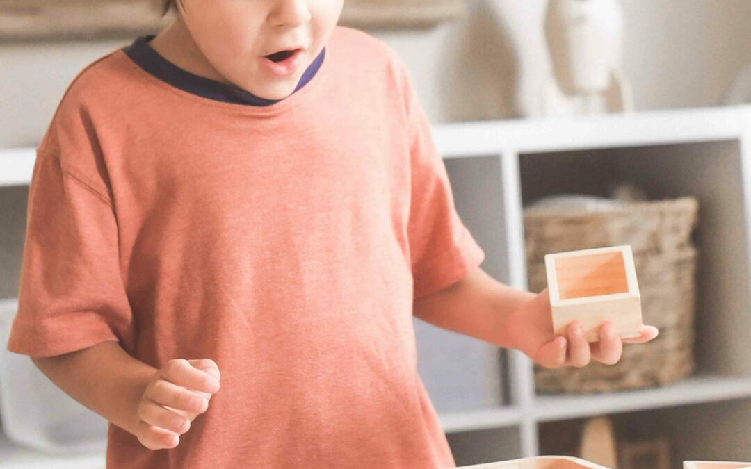 master_psicomotricidad-montessori-MAS455
