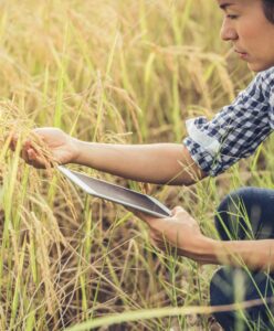 estudiar Postgrado en Dirección y Gestión de Empresa Agraria