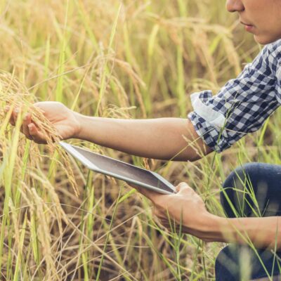 estudiar Postgrado en Dirección y Gestión de Empresa Agraria