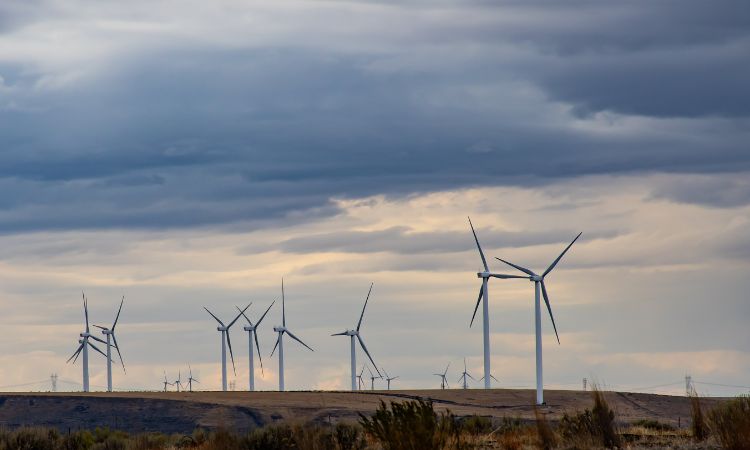 Normatividad ambiental: qué es, qué regula y ejemplos