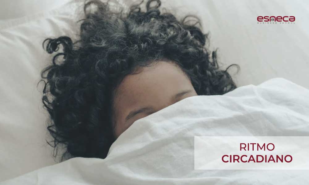 Descubre qué es el ritmo circadiano y cómo funciona
