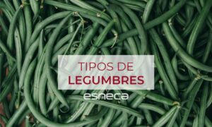 Te explicamos cuántos tipos de legumbres existen y sus propiedades
