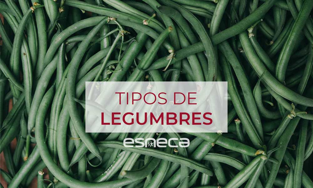 Tipos de legumbres y propiedades nutricionales que aportan a tu dieta